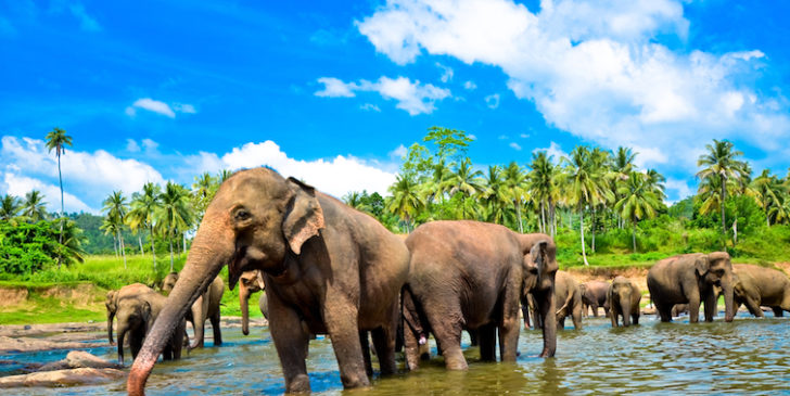 Sri Lanka